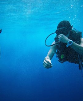 Scuba Diving